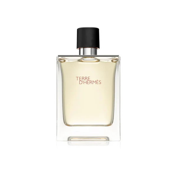 Hermès Terre d’Hermès